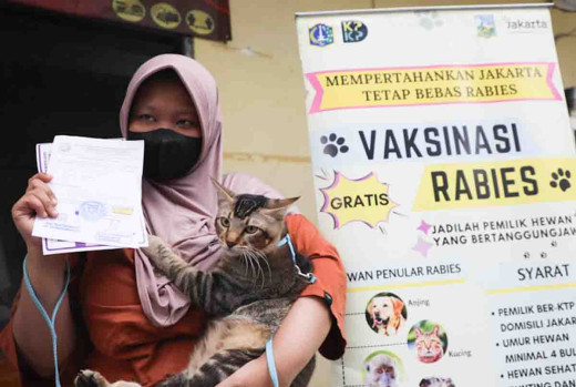GoNews.co 5.803 Hewan Penular Rabies di Jakarta Pusat Telah Divaksin Sepanjang 2024