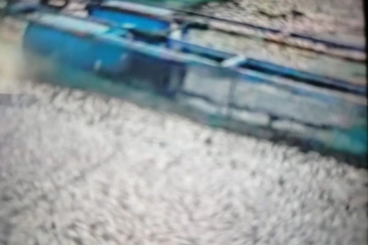 GoNews.co Kematian Ikan di Danau Maninjau Meningkat, Petani Diminta Waspada