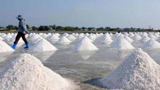 Impor Garam, Kiara: Pemerintah Lebih Suka Jalan Pintas