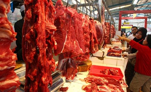 PPSKI Tolak Impor Daging Kerbau dari India, Ini Alasannya...
