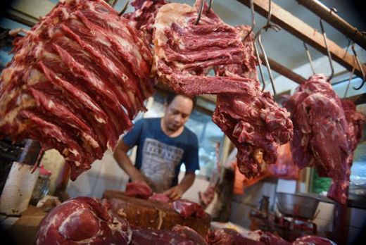 Pemerintah akan Impor Daging Kerbau dari India