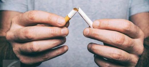Jamur Ini Terbukti Bisa Hentikan Kecanduan Merokok, Benarkah?