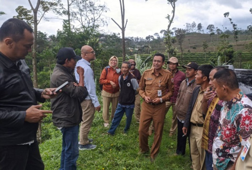Kembangkan Kampung Buah, Dispaperta dan Komisi C DPRD Batang Sebar Klengkeng hingga Alpukat di Blado