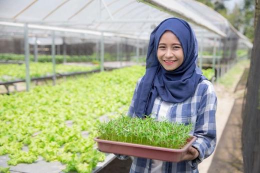 DPR Minta Ekosistem Pertanian Menarik Minat Milenial