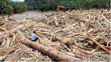 Saat Banjir Membawa Kayu-Kayu Raksasa, Warga Bertanya: “Hutan Kami Sedang Diambil Siapa?”