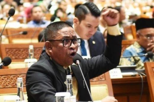 Legislator asal PKS Wacanakan Legalisasi Ganja