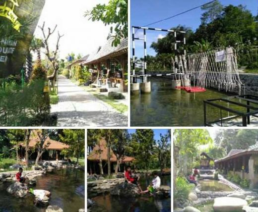 Kampung Flory, Homestay Desa Wisata Tanaman Hias dengan Kolam Terapi Ikan
