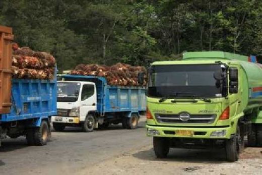 Uni Eropa Larang Penggunaan CPO dari Indonesia, Bamsoet: Cabut Izin Perusahaan Sawit yang Melanggar