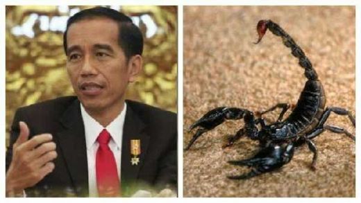 Jokowi Anjurkan Cari Racun Kalajengking, Netizen: Pak Dilan, Untuk Dapat 1 Liter Racun Butuh 200 Ribu Ekor Pak, Jangan Gila Dong