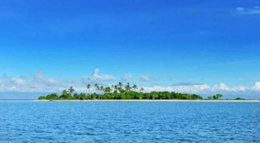 Penemuan Baru, Ada Pulau di Riau yang Jadi Tempat Penyimpanan Narkoba, Disimpannya di Pohon Kayu