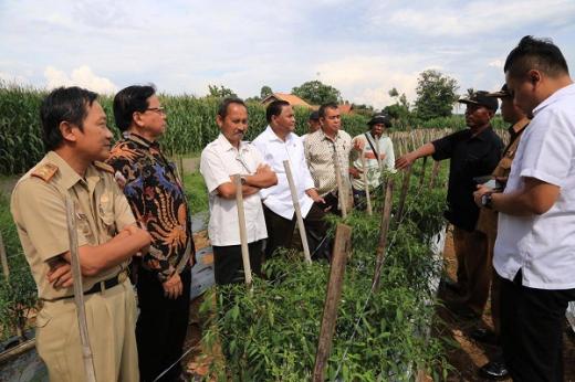 Komite II DPD RI Dorong Lampung Kembangkan Pertanian Unggulan