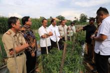 Komite II DPD RI Dorong Lampung Kembangkan Pertanian Unggulan