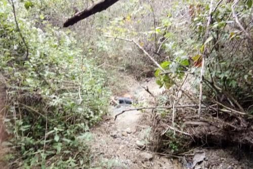 Mobilio Parkir di Hutan Ngambon, 18 Hari Dicari Akhirnya Pengemudi Ditemukan, Sayangnya Sudah Keadaan Tak Bernyawa