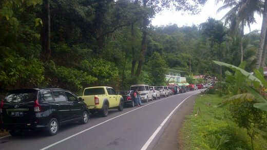 Pohon Besar Tumbang, Lintas Padang-Painan Lumpuh, Antrean Kendaraan Lebih 10 Kilometer