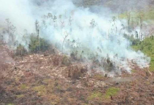 Hingga Oktober Ini, Sudah 95 Orang Jadi Tersangka Pembakar Lahan di Riau