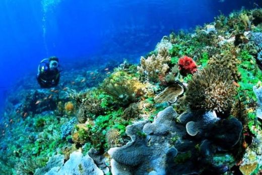 Kemenpar Promosikan 11 Destinasi Wisata Bahari di Deep and Extreme Indonesia 2017