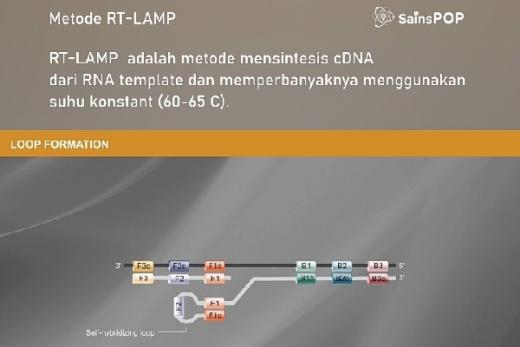 LIPI Gandeng PT Biosains Medika Indonesia Ciptakan RT LAMP