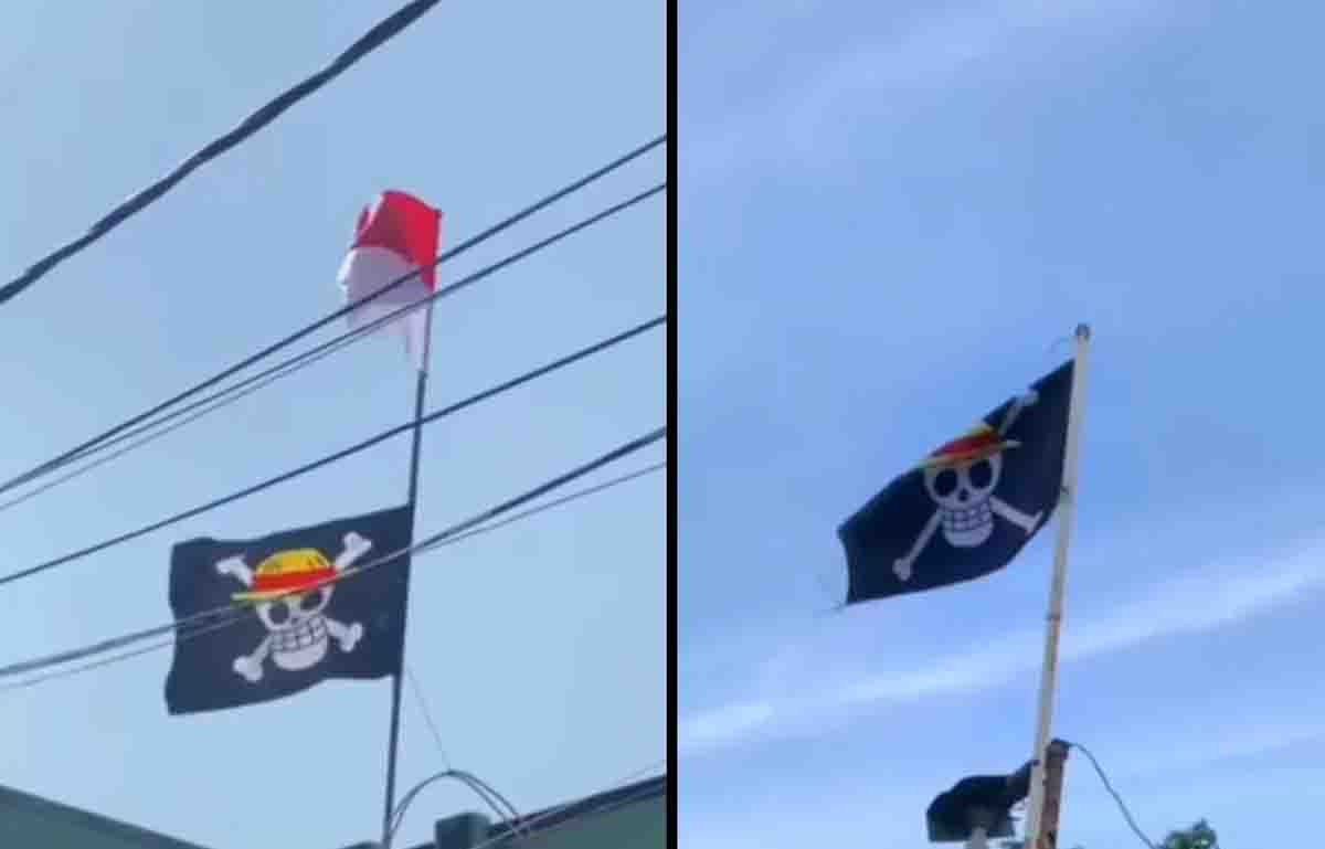 Bendera One Piece Ramai Dikibarkan, DPR: Jangan Sampai Jadi Simbol Perpecahan