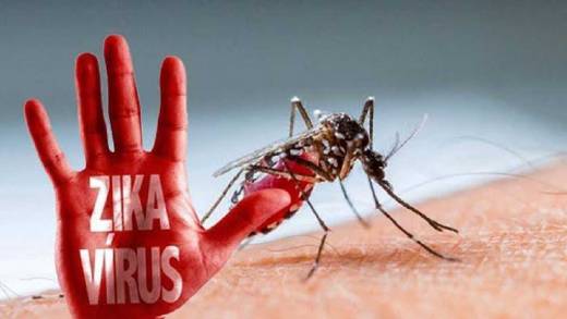 Komisi IX DPR Kembali Ingatkan Kemenkes untuk Tak Main-main Antisipasi Virus Zika