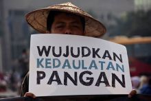 Kebut RUU Kedaulatan Pangan, Komite II DPD RI Gelar Uji Sahih