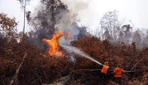 Edo Rachman: Jokowi Harus Tegas, Agar Kapolri dan KLHK Serius Tangani 11 Perusahaan Pembakar Lahan