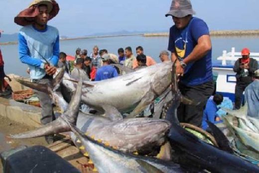 GoRiau - Wow, Ternyata Provinsi Riau Pernah Dikenal sebagai Penghasil Ikan  Terbesar ke-2 di Dunia Lho...