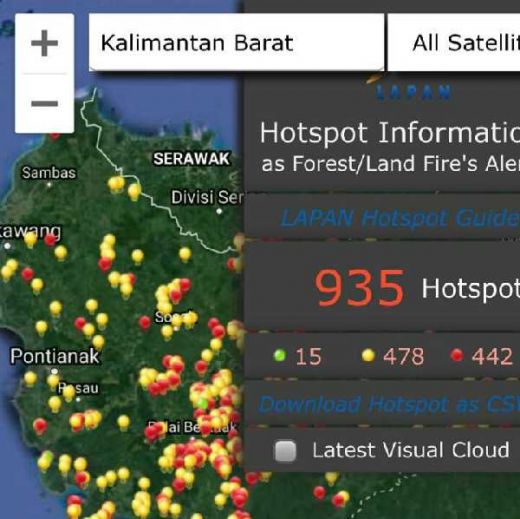 Tiba di Kalimantan, Jokowi Disambut 935 Titik Api Karhutla