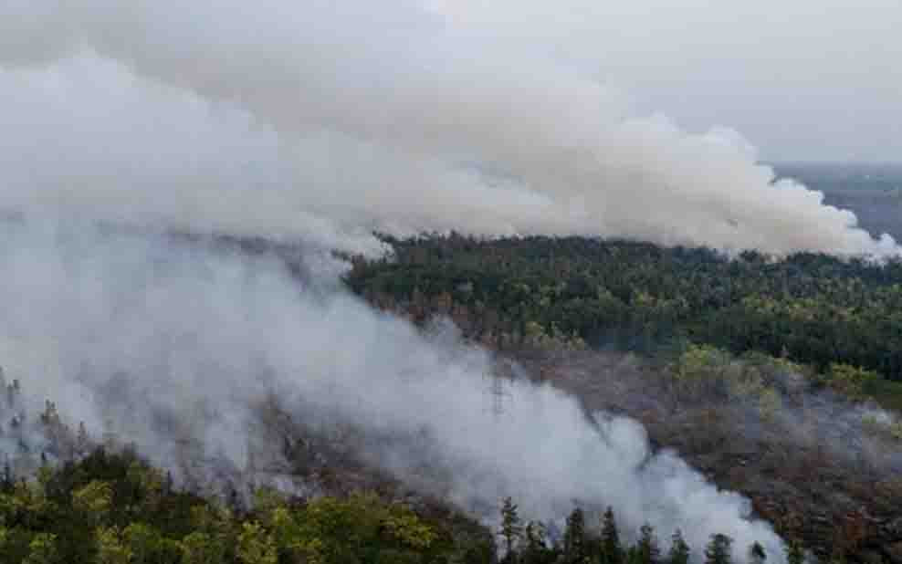 Respons Darurat Karhutla, Indonesia Dorong Operasional Penuh ACCTHPC