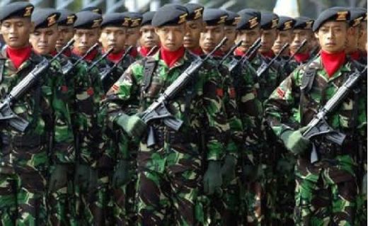 Di Usia 71 Tahun, DPR Akui Sistem Alutsista TNI Masih Jauh Tertinggal dari Negara Lain