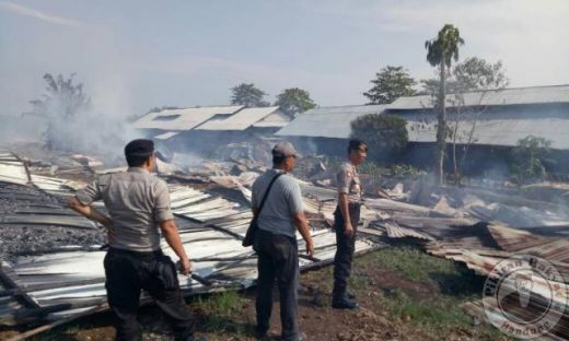 Peternakan di Bogor Terbakar, 40.000 Ekor Ayam Hangus Jadi Arang