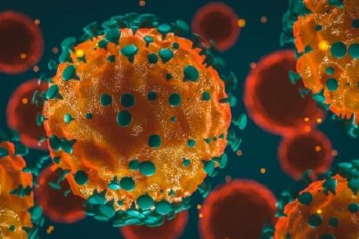 Virus Covid-19 di Indonesia Tak Termasuk 3 yang Ada di Dunia