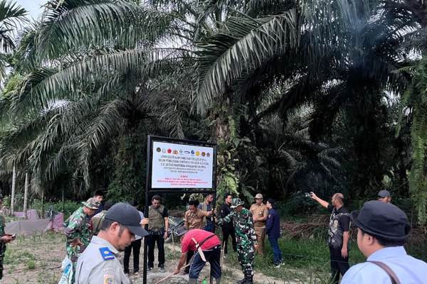 Ribuan Hektare Sawit Ilegal Ditertibkan di Sumbar, Negara Mulai Lindungi Hutan yang Terlupakan
