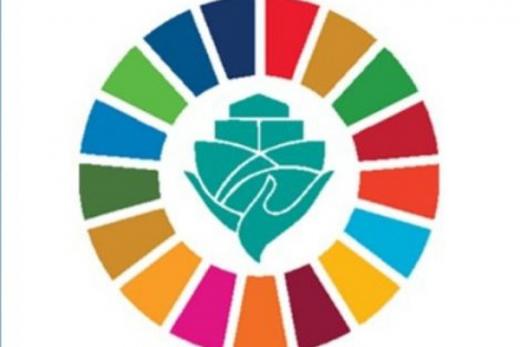 Pemutakhiran Data SDGs Desa Telan Rp1,5 Triliunan Dana Desa