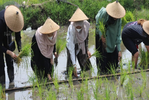 Pakar IPB Dorong Pemerintah buat Aturan Perbankan Ramah Petani Kecil Akses KUR