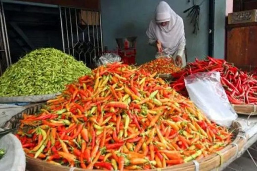 Harga Cabe Turun