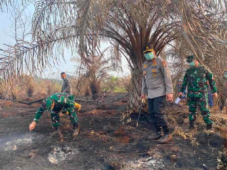 Polisi Tetapkan 49 Tersangka Karhutla, Pelalawan dan Bengkalis Catat Kasus Tertinggi