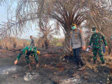 Polisi Tetapkan 49 Tersangka Karhutla, Pelalawan dan Bengkalis Catat Kasus Tertinggi