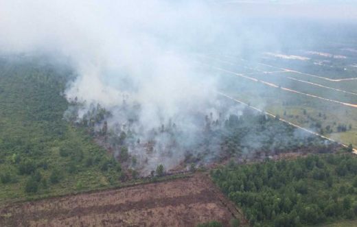 Titik Panas di Riau Terus Meningkat, Satgas Udara Kerahkan Helikopter Padamkan Kebakaran di 3 Kabupaten