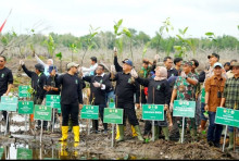 Peringati Hari Lahan Basah Sedunia, KLHK Tanam Mangrove Muara Jawa, Kutai Kartanegara