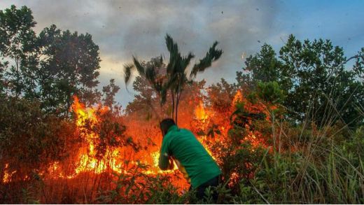 Ada 201 Titik Api di Riau Hari Ini, BNPB Bantah Kabut Asap Sampai ke Malaysia dan Singapura