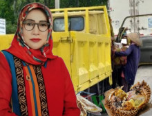 Durian Celeng Kian Meresahakan, Legislator PDIP Desak Pemda Batang Tertibkan Pedagang