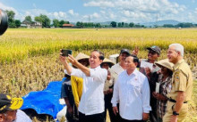 Tawa Lepas Jokowi saat Selfie Bareng Prabowo dan Ganjar di Panen Raya Jateng