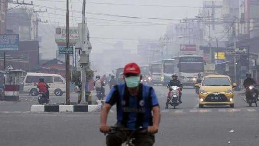 BNPB Pastikan Tidak Ada Asap Karhutla dari Riau yang Masuk ke Malaysia