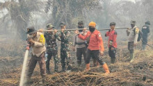 Waspada Karhutla Bengkalis, Belasan Hektare Lahan di Mandau dan Siak Kecil Jadi Abu