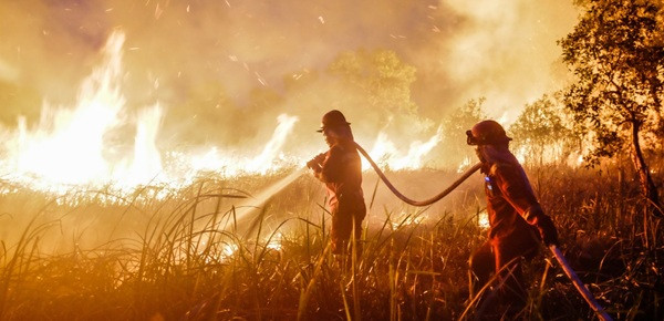 Karhutla Makin Masif, Firman Soebagyo Desak Pemerintah Bentuk Lembaga Khusus