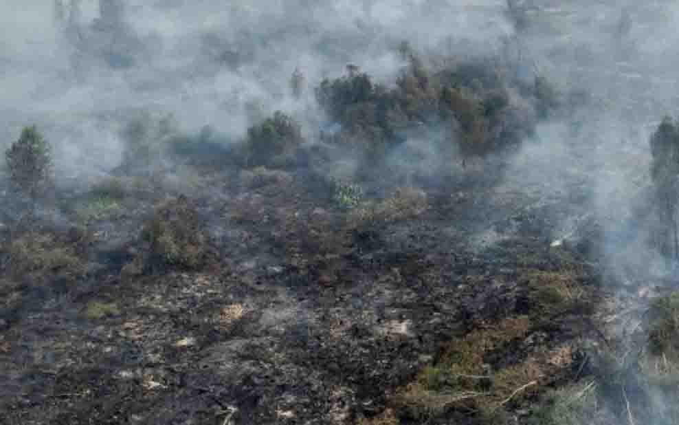 Titik Api Belum Padam, Operasi Darat dan Udara Berjalan 24 Jam di 6 Provinsi