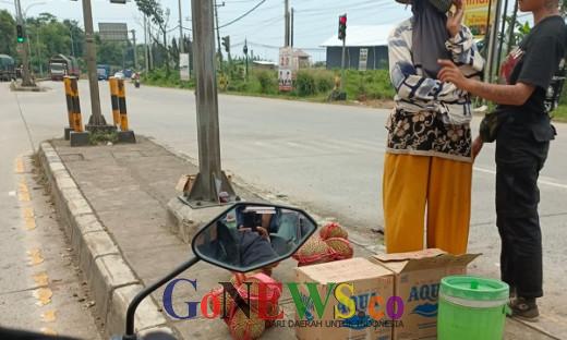 GoNews Pedagang durian celeng di lamp