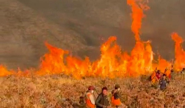 Api Meluas di Gunung Bromo, DPR Soroti Lemahnya Pengawasan Kawasan Konservasi