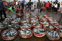 Legislator Dorong Regulasi Khusus untuk Maluku sebagai Lumbung Ikan Nasional