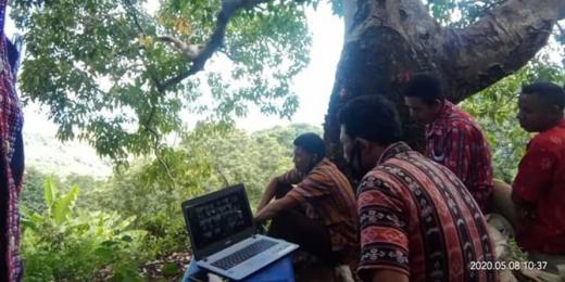 Susah Sinyal, Kepala Desa di Flores Timur Panjat Pohon Demi Ikut Rapat Online